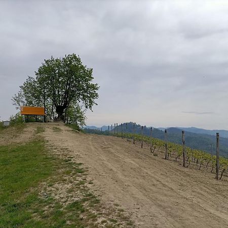 Отель Monferrato Bed&Bike Murisengo Экстерьер фото