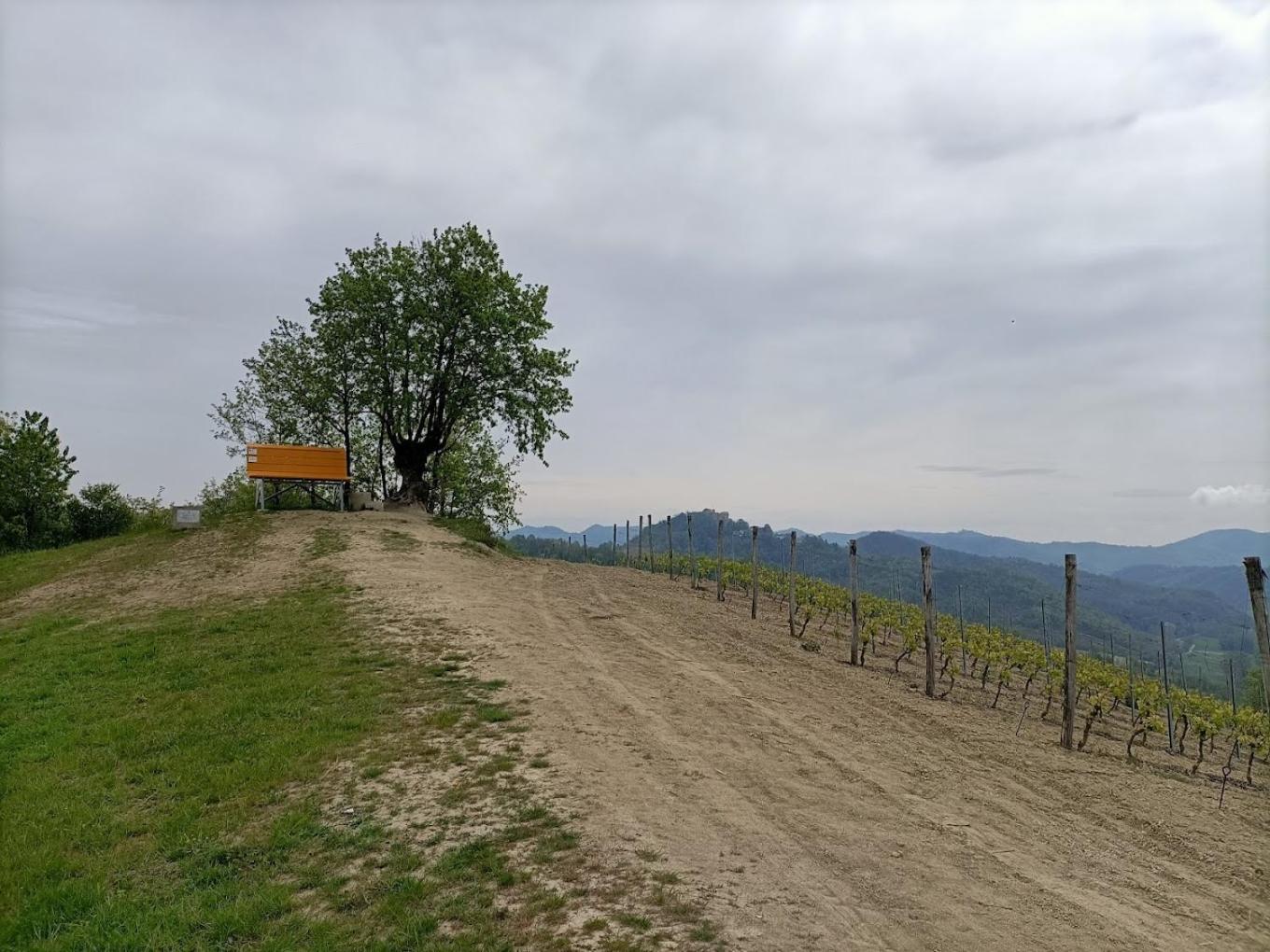 Отель Monferrato Bed&Bike Murisengo Экстерьер фото